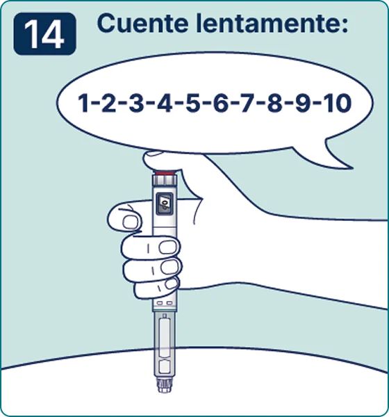 Ilustración del paso 14